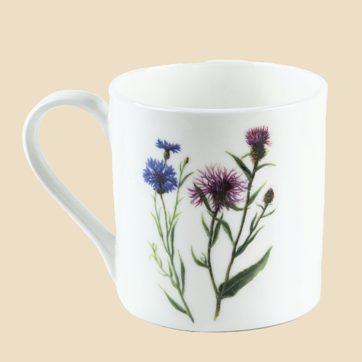 Cornflower