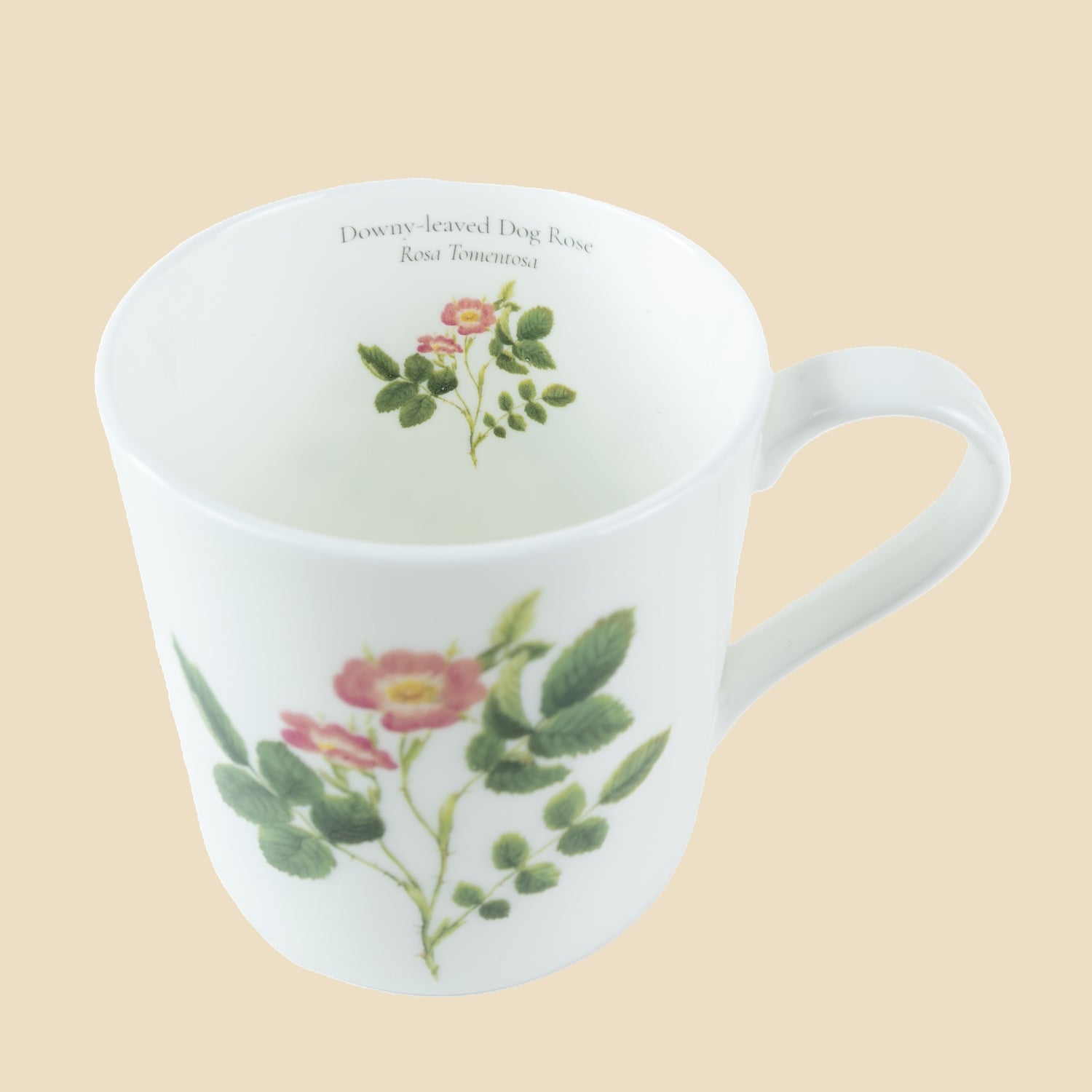 Dog Rose