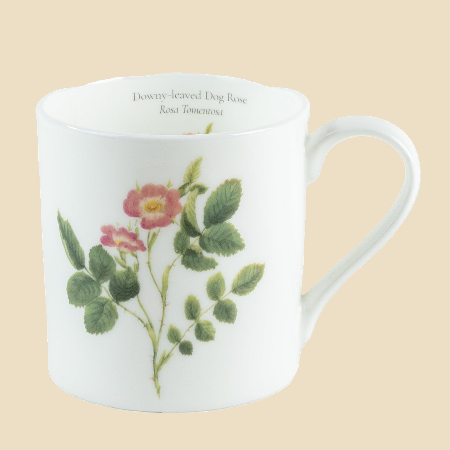 Dog Rose