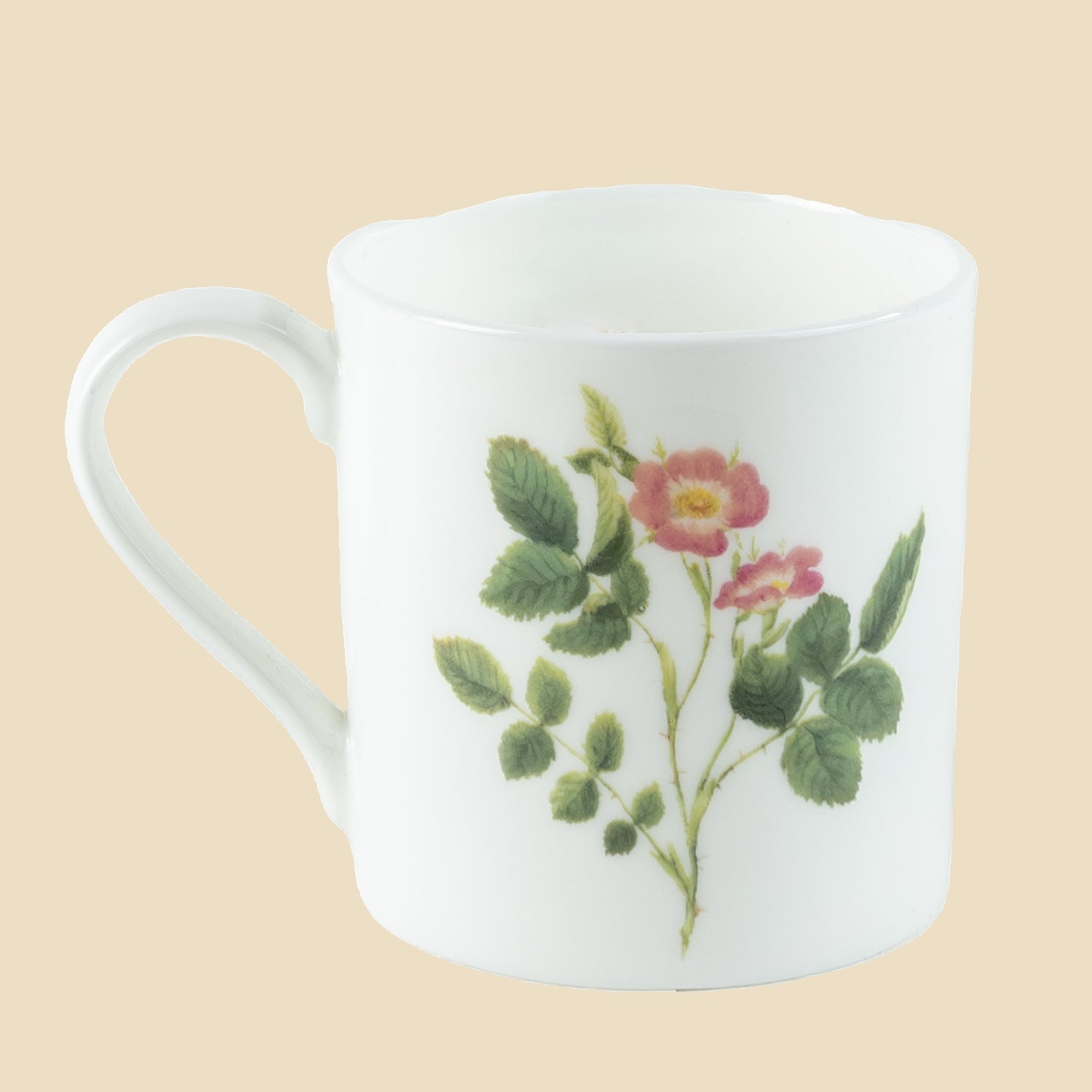Dog Rose