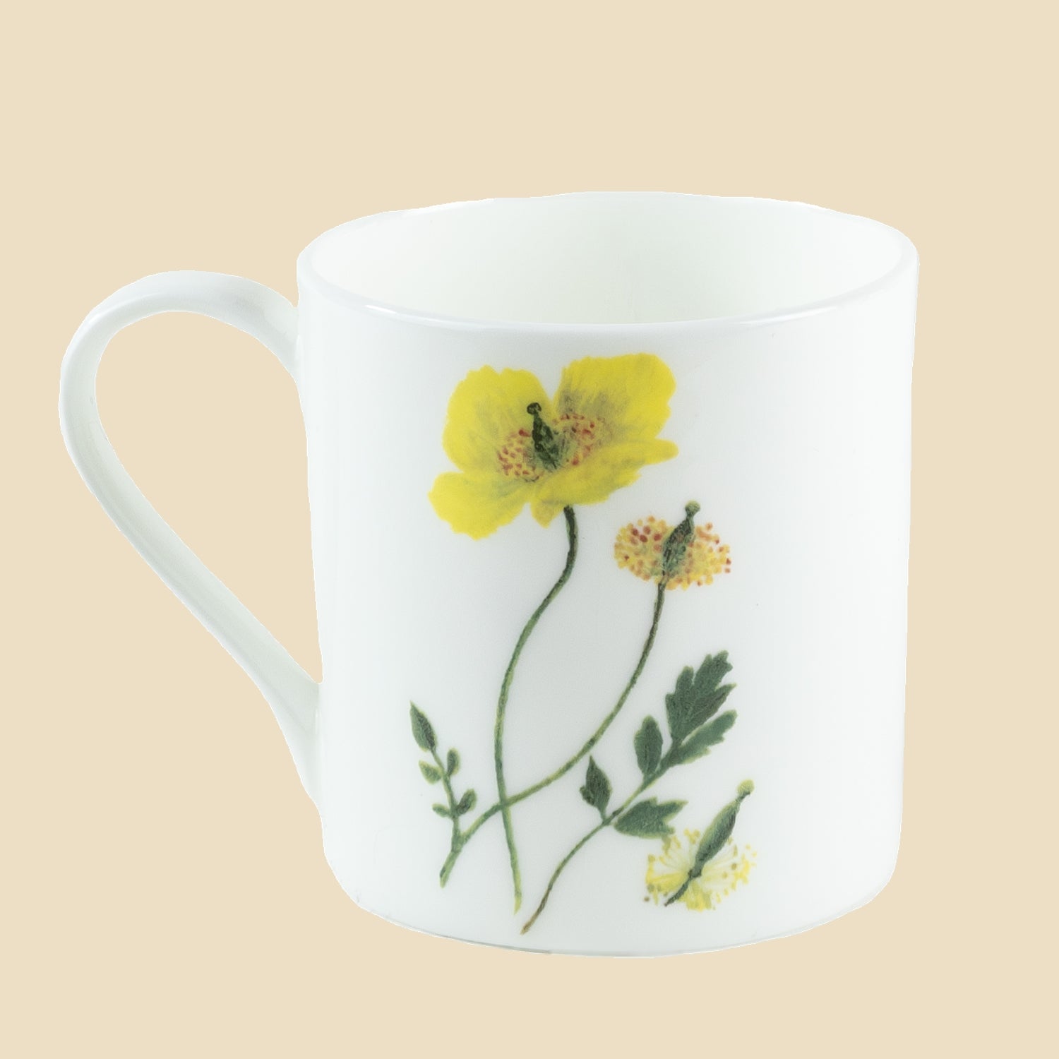 Welsh Poppy