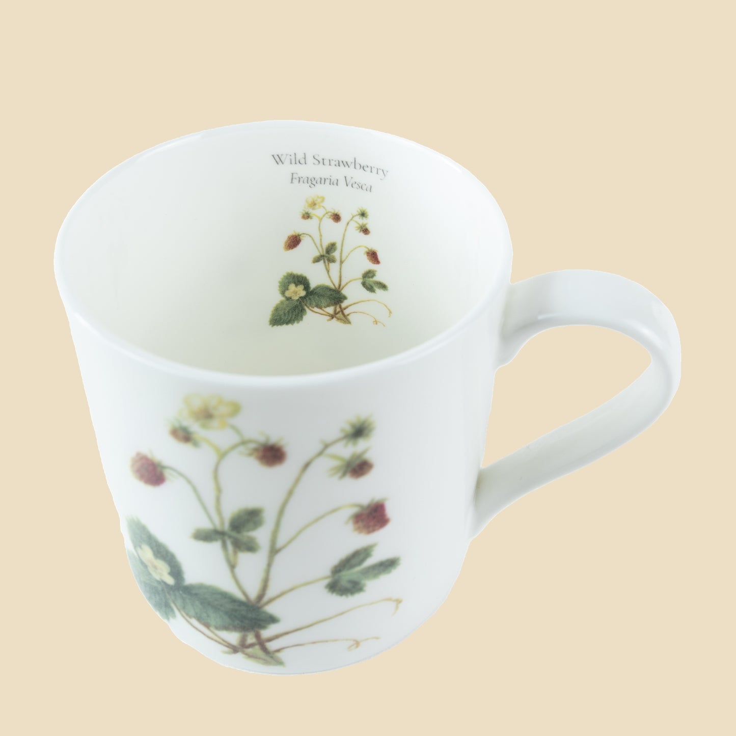 Wild Strawberry