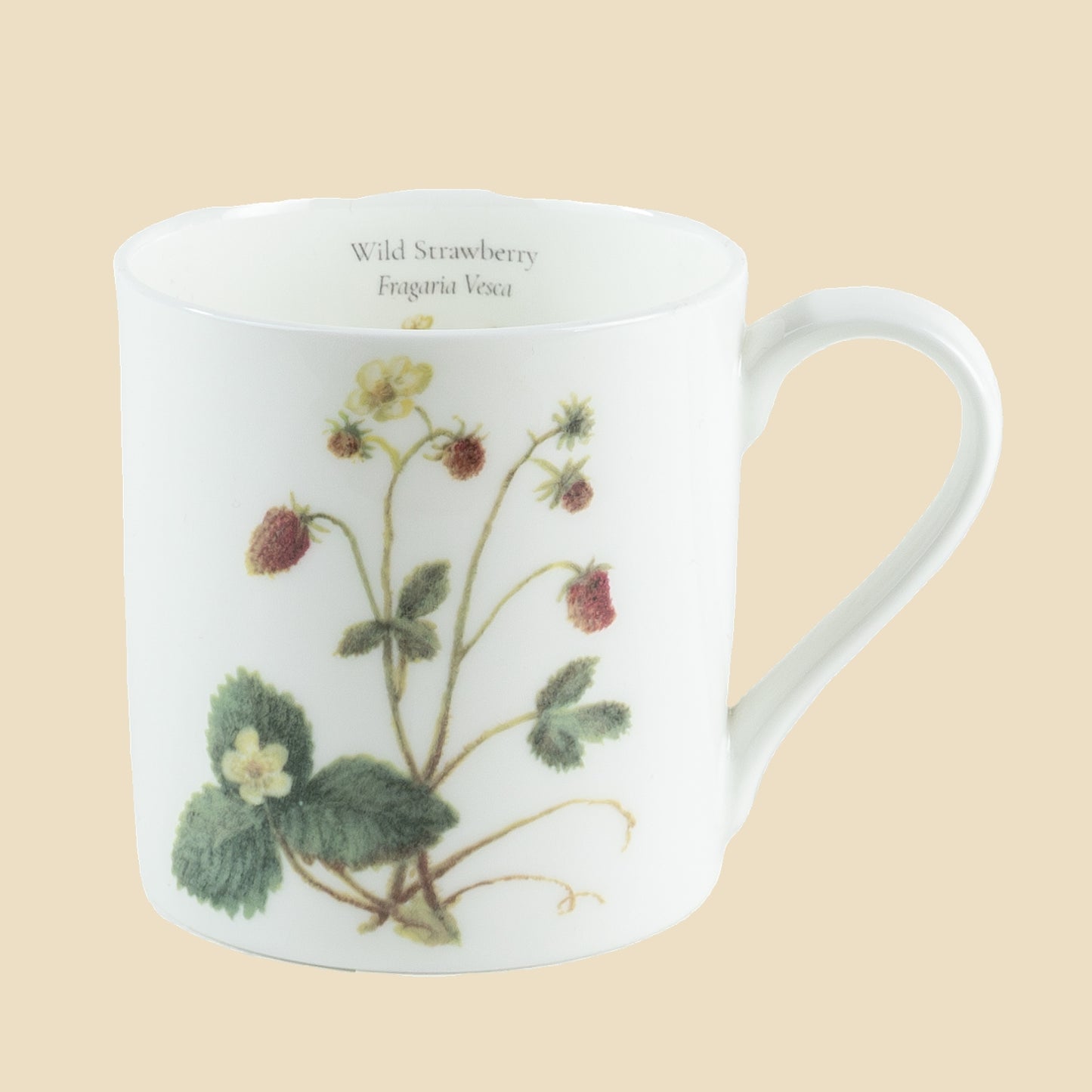 Wild Strawberry