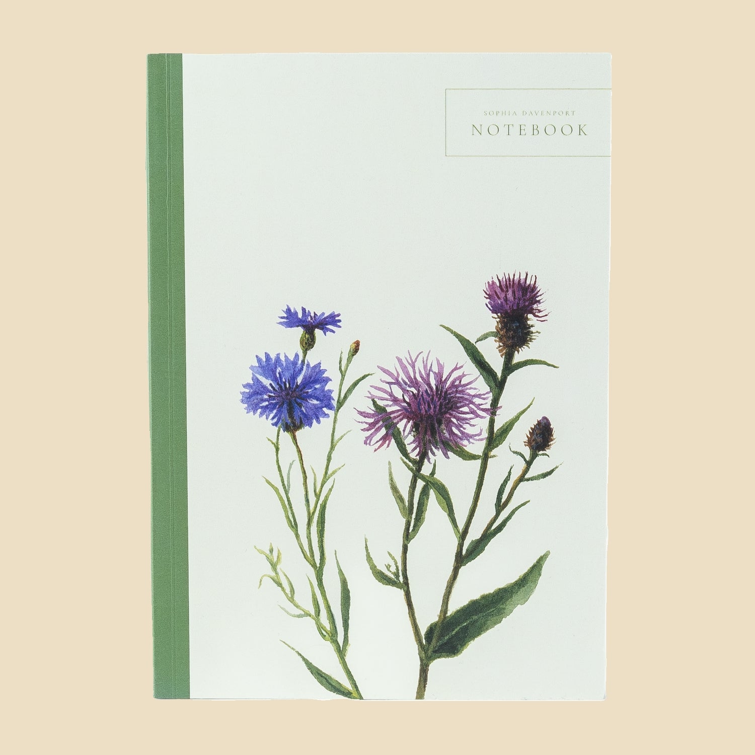 Cornflower