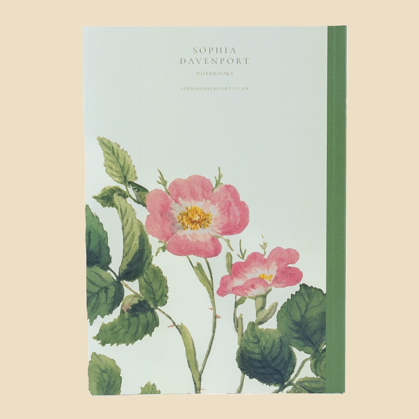 Dog Rose