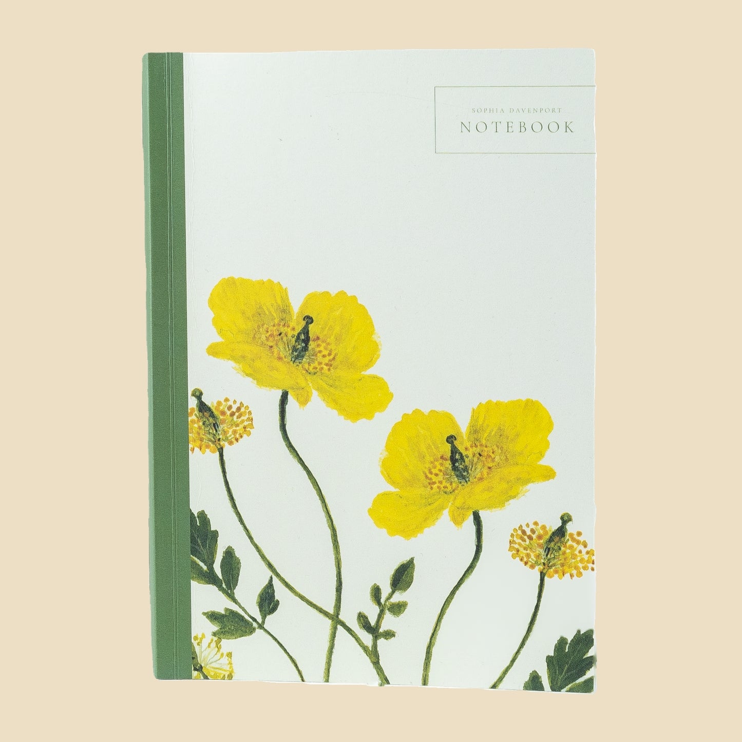 Welsh Poppy