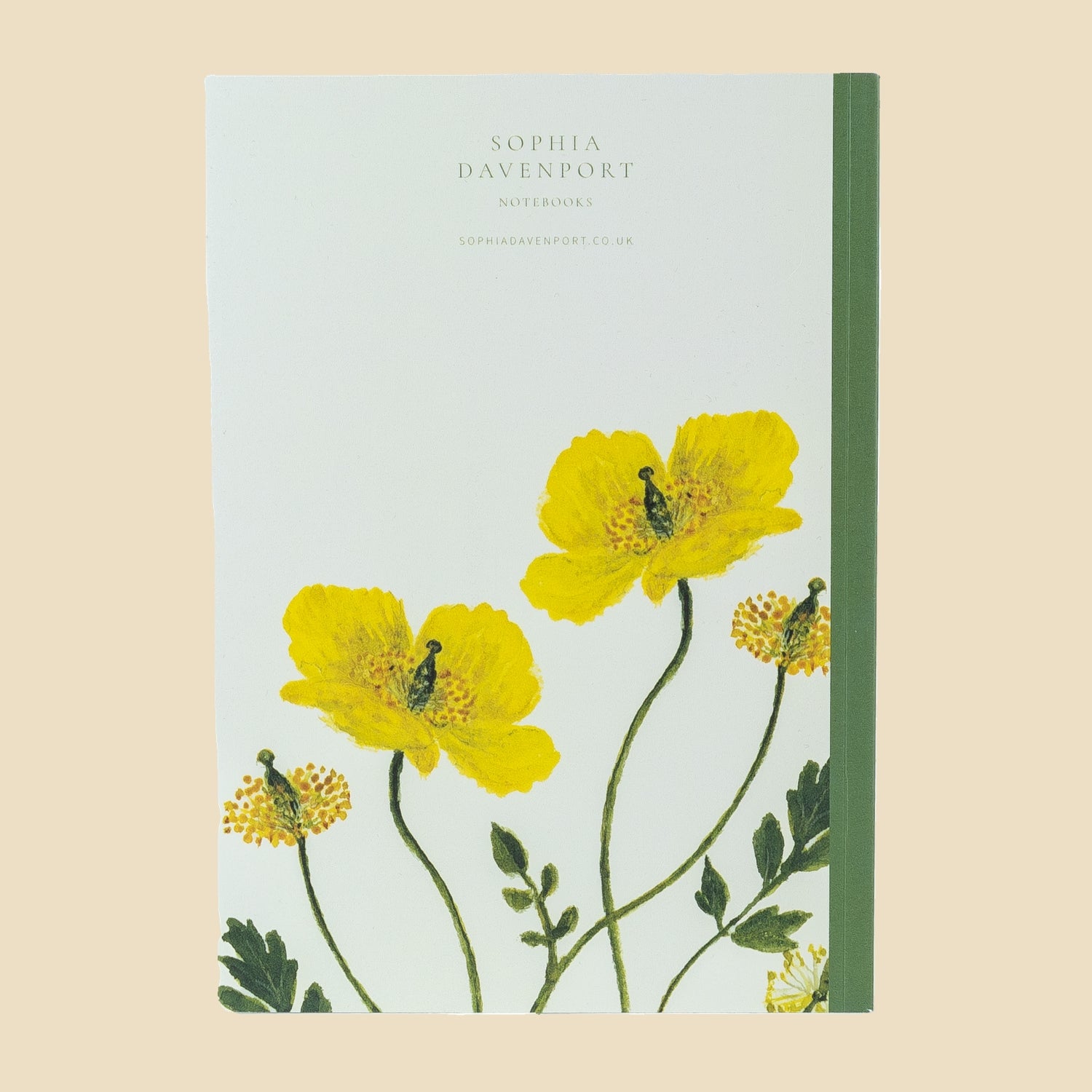 Welsh Poppy