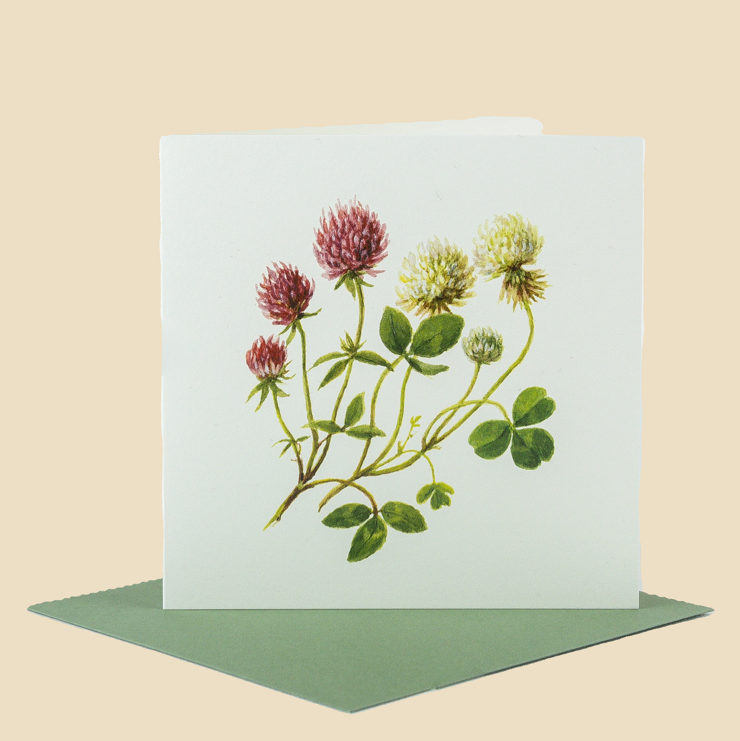 Wildflower Greeting Cards and Notelets