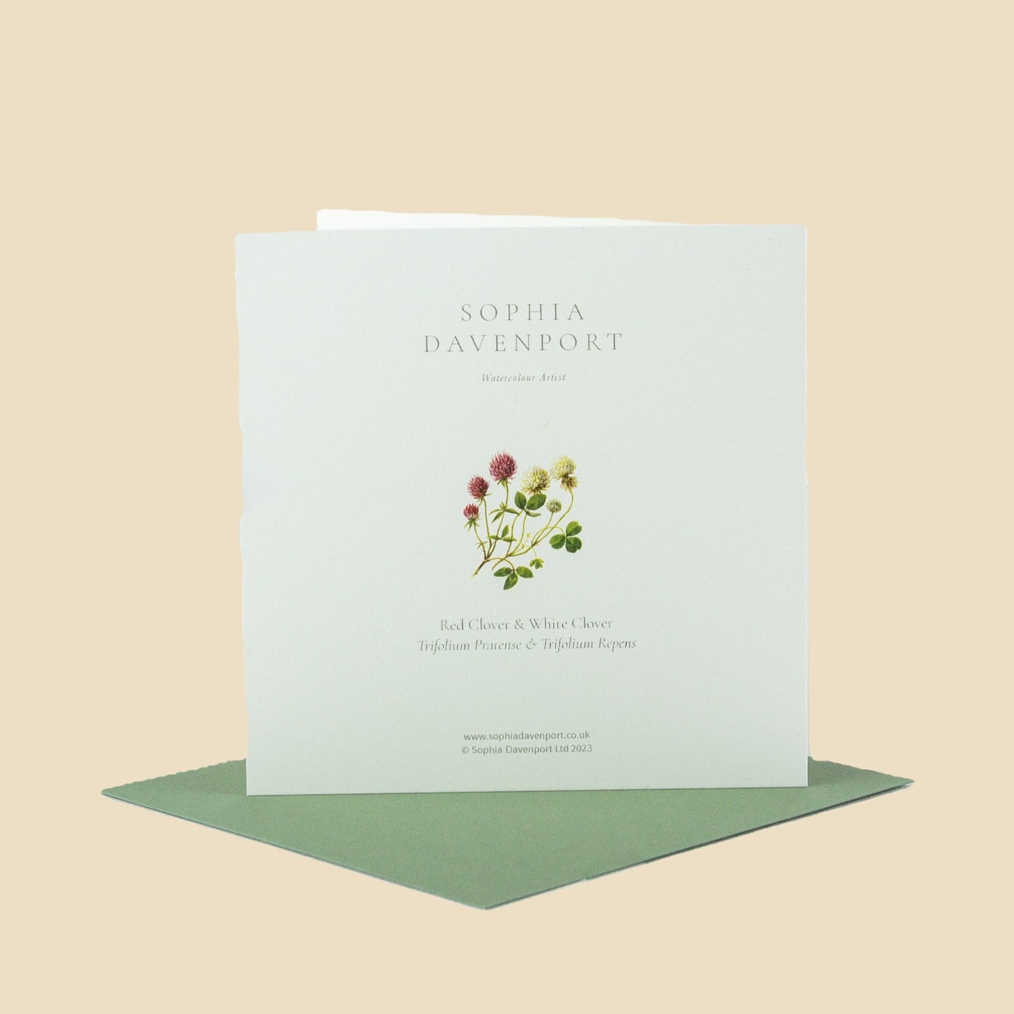 Wildflower Greeting Cards and Notelets