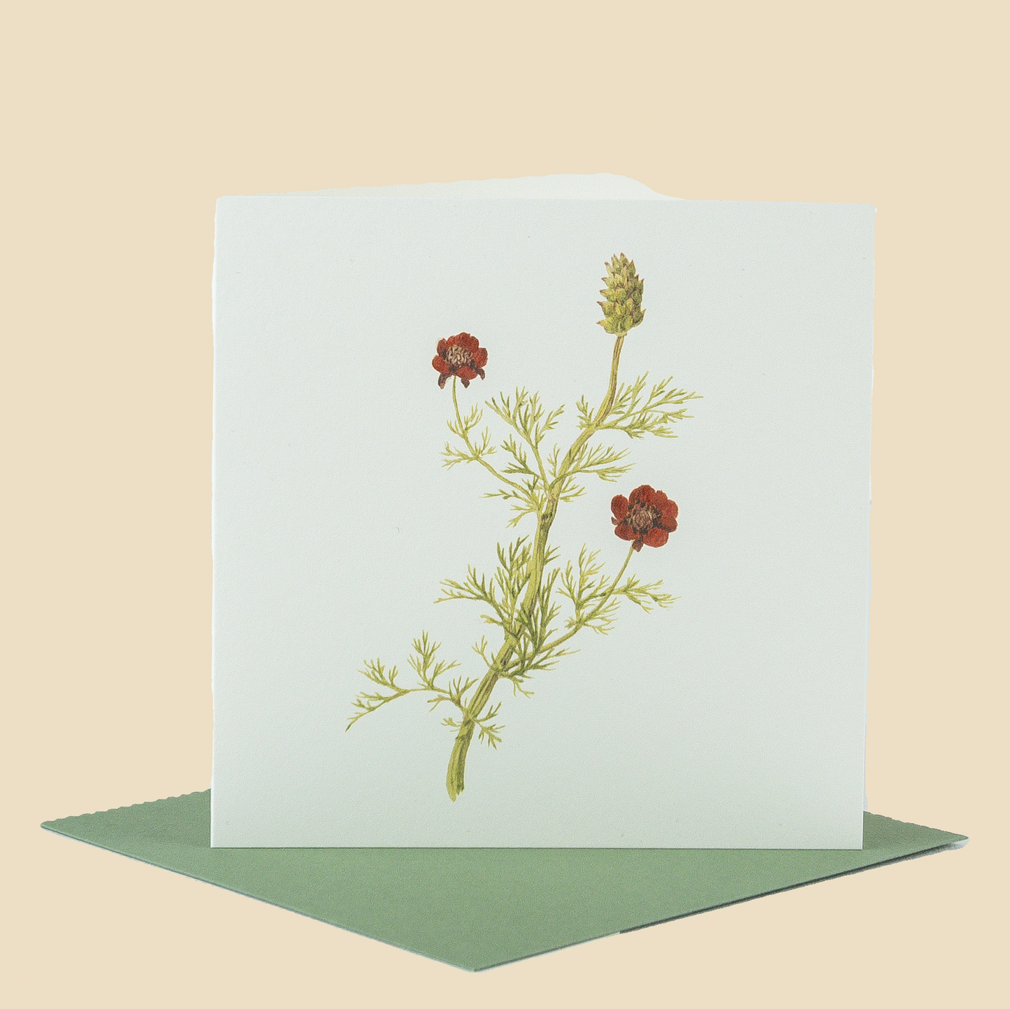 Wildflower Greeting Cards and Notelets