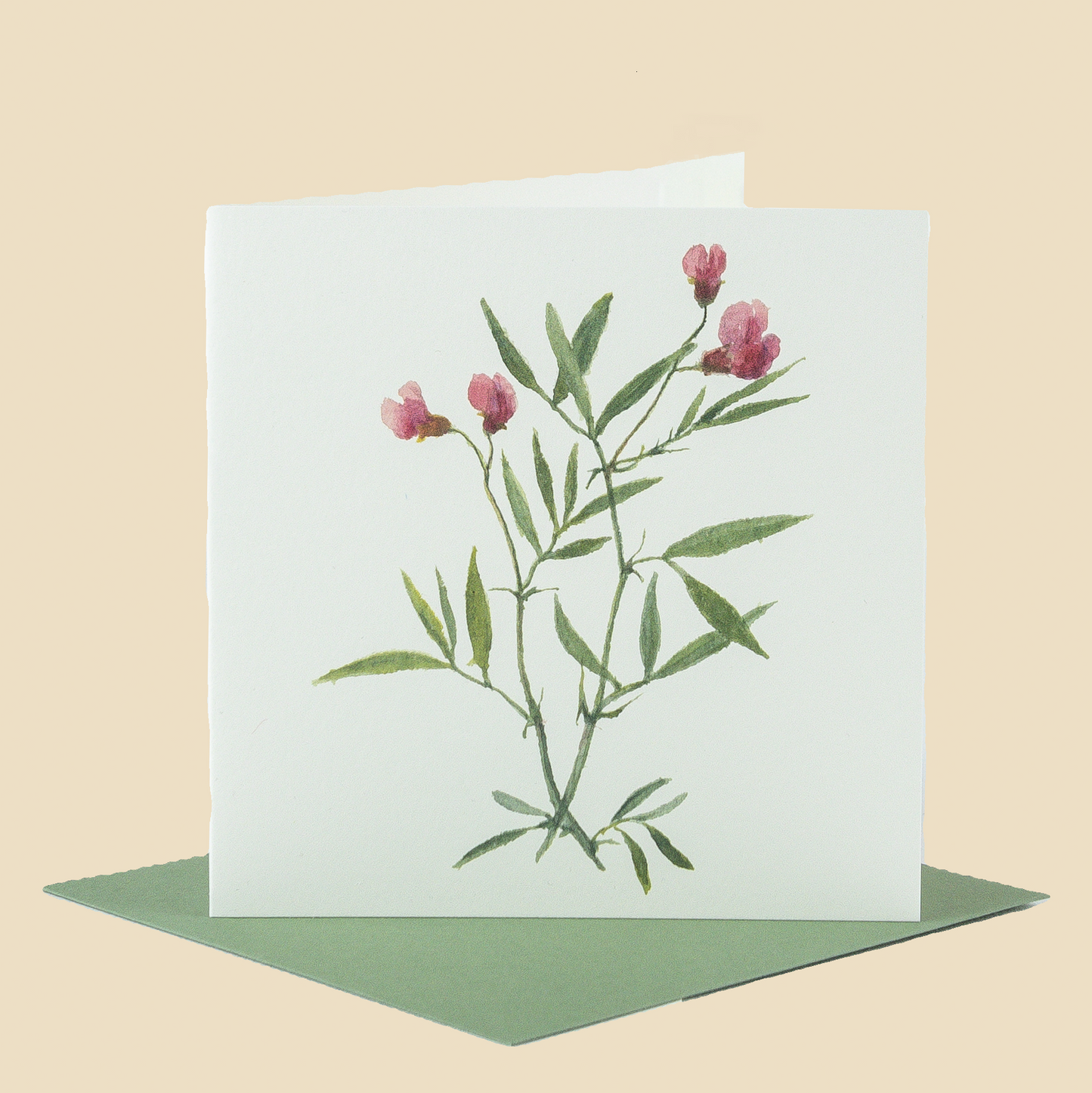 Wildflower Greeting Cards and Notelets