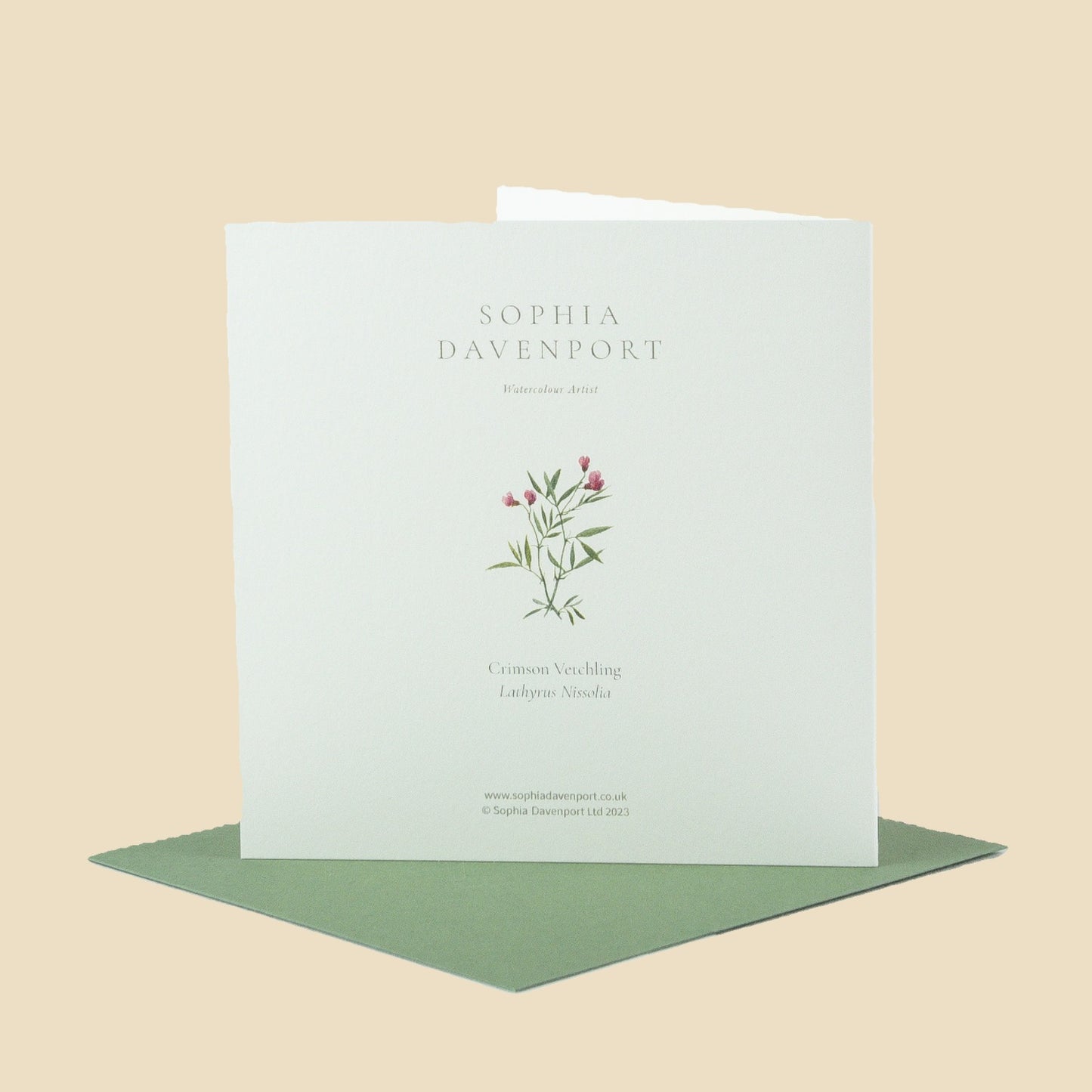 Wildflower Greeting Cards and Notelets