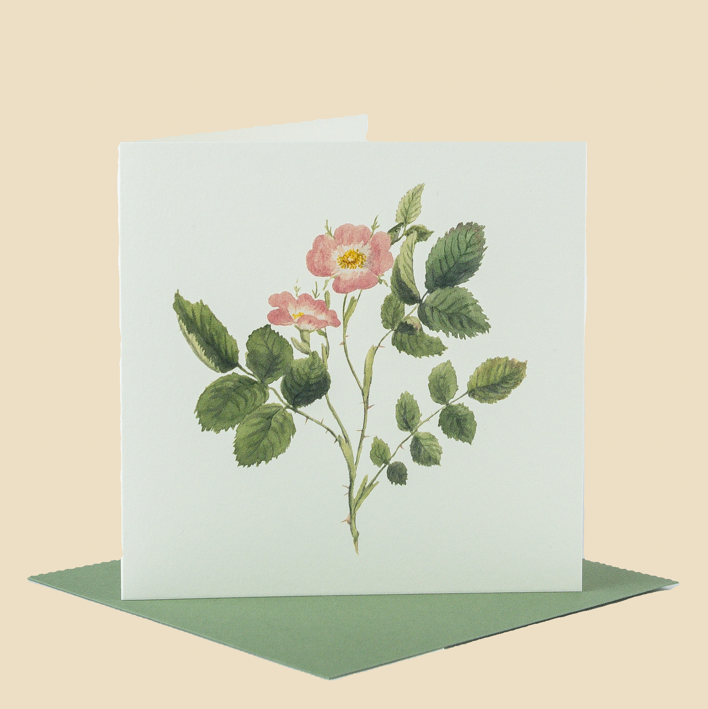 Wildflower Greeting Cards and Notelets