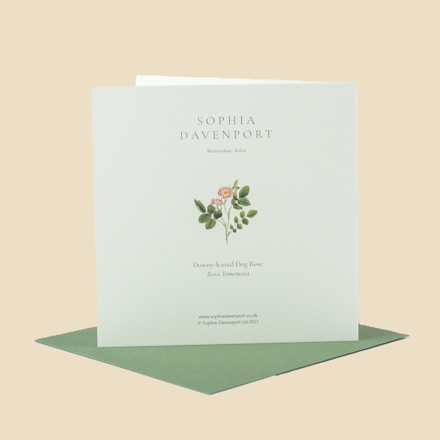 Wildflower Greeting Cards and Notelets