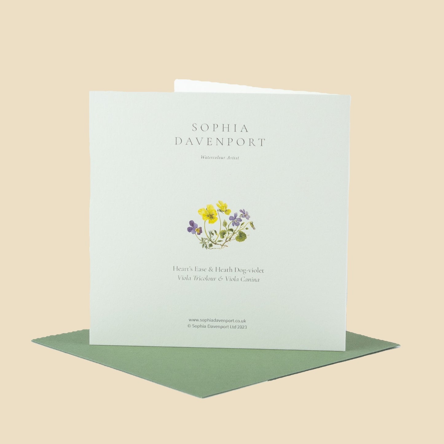 Wildflower Greeting Cards and Notelets