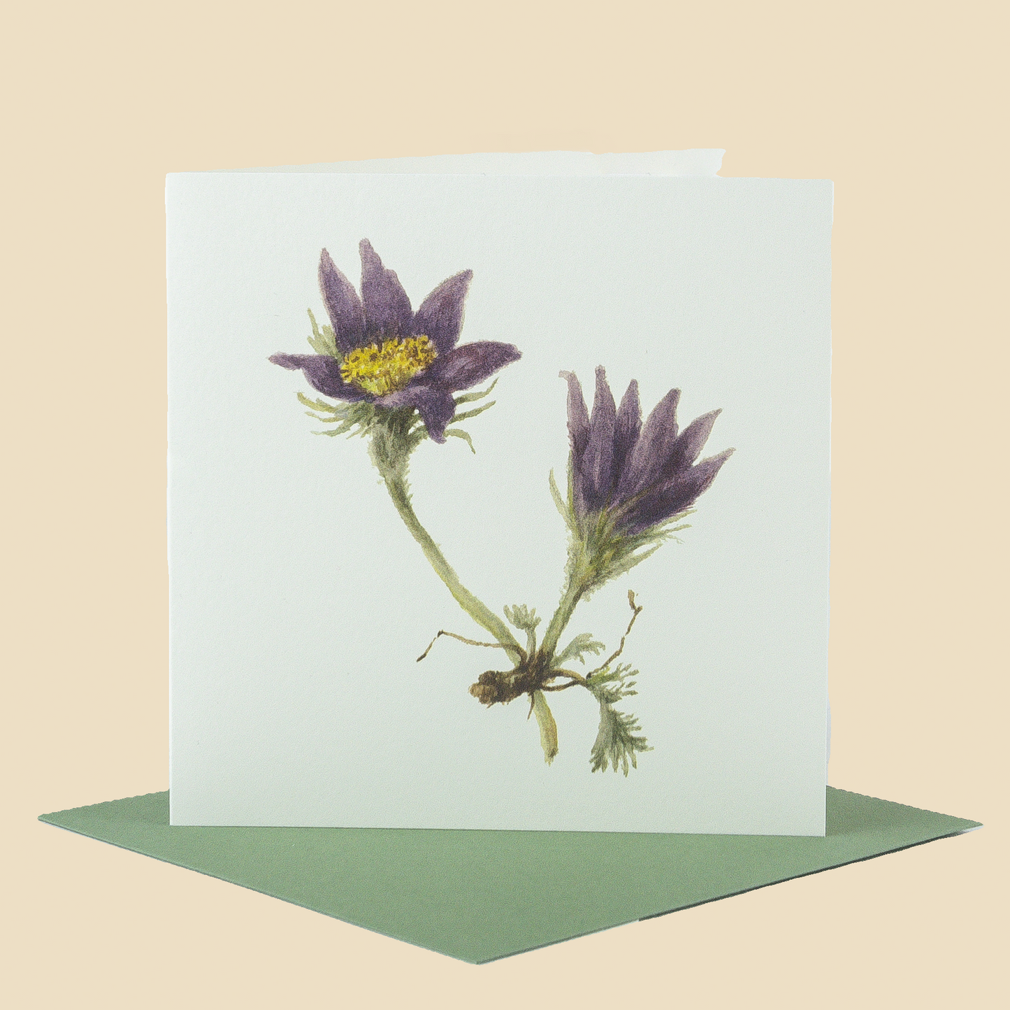 Wildflower Greeting Cards and Notelets