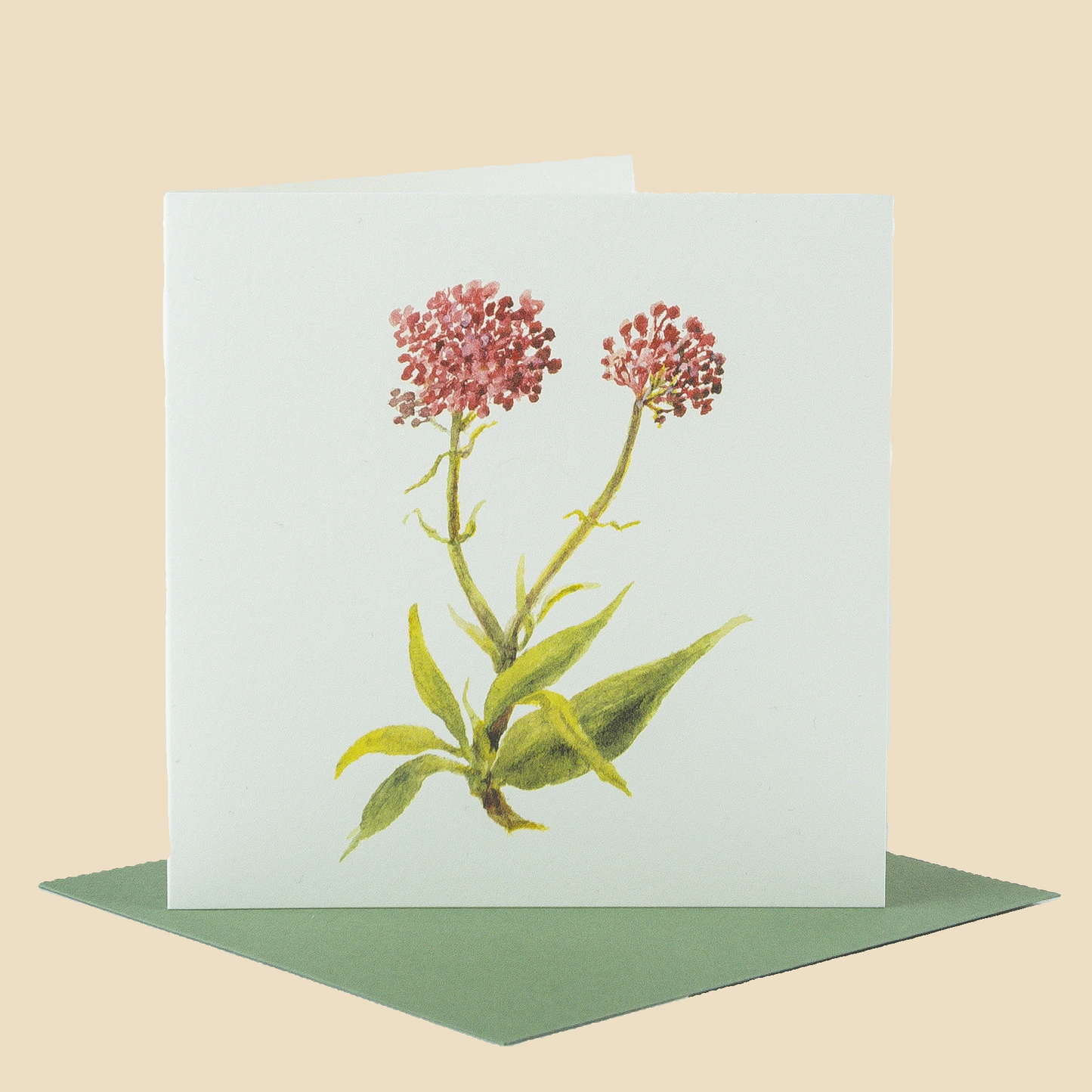 Wildflower Greeting Cards and Notelets