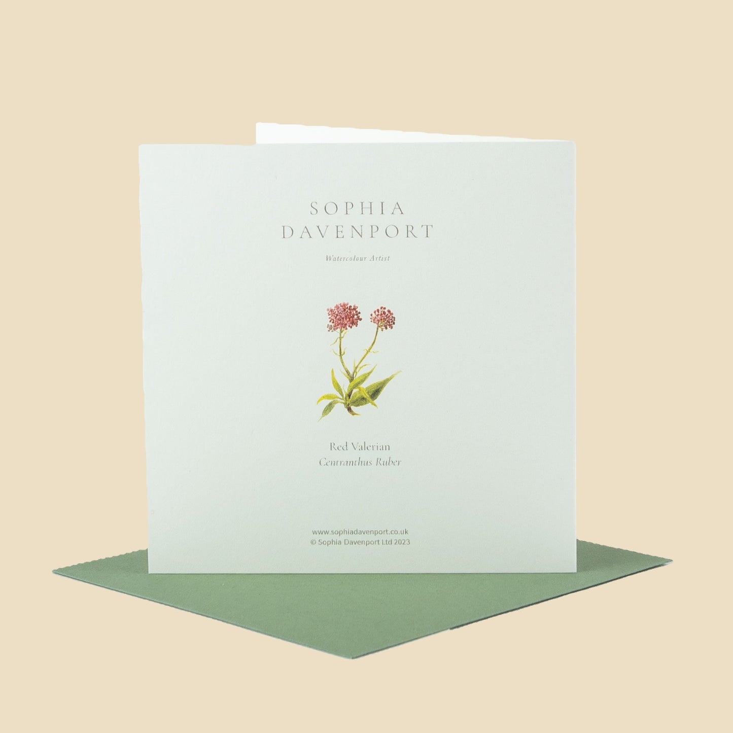 Wildflower Greeting Cards and Notelets
