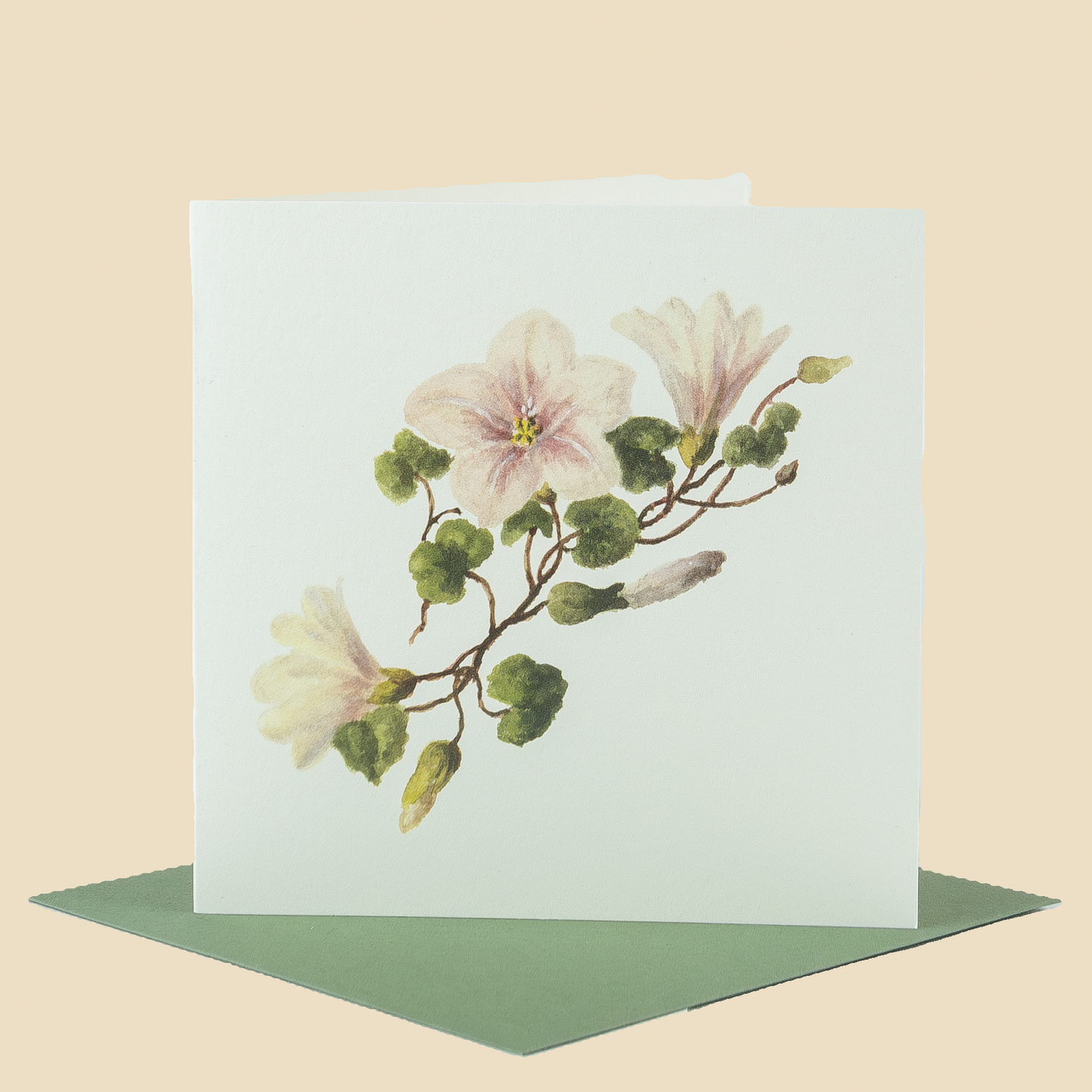 Wildflower Greeting Cards and Notelets