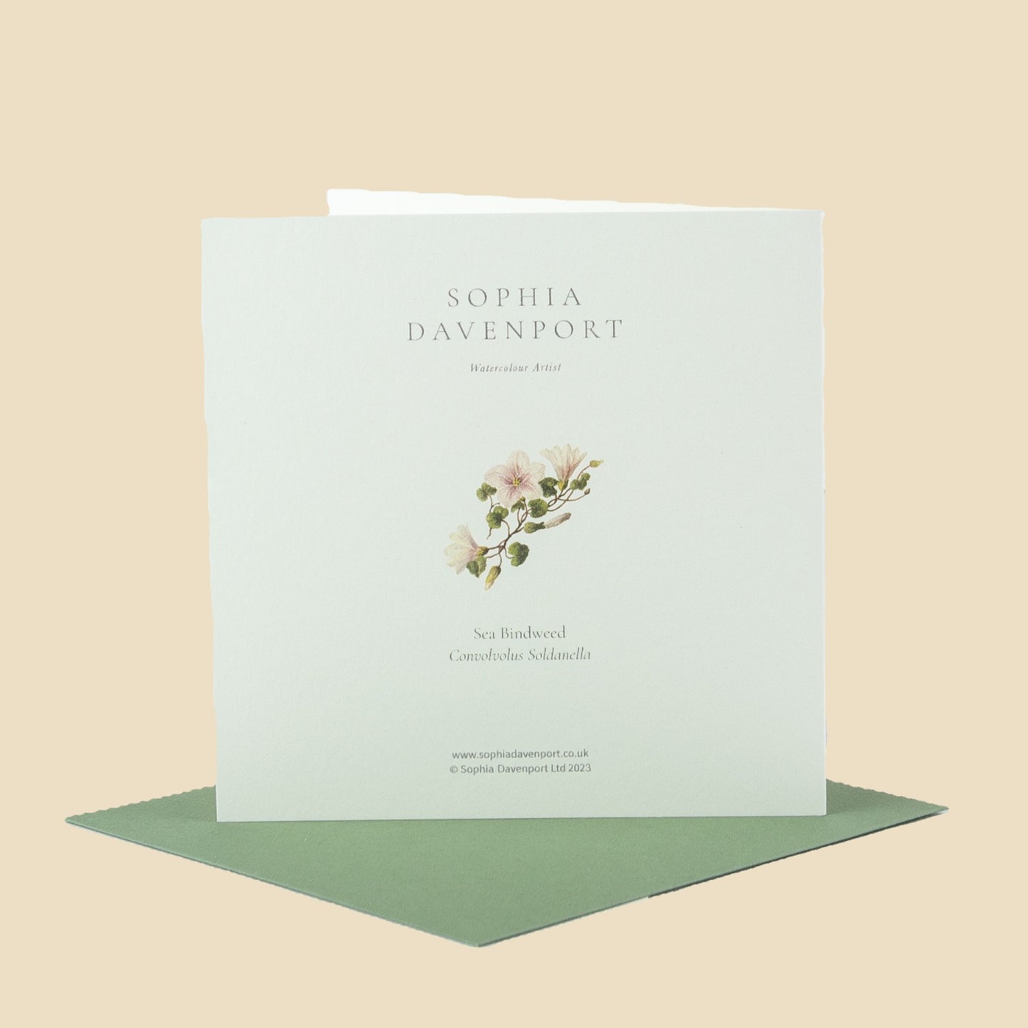 Wildflower Greeting Cards and Notelets