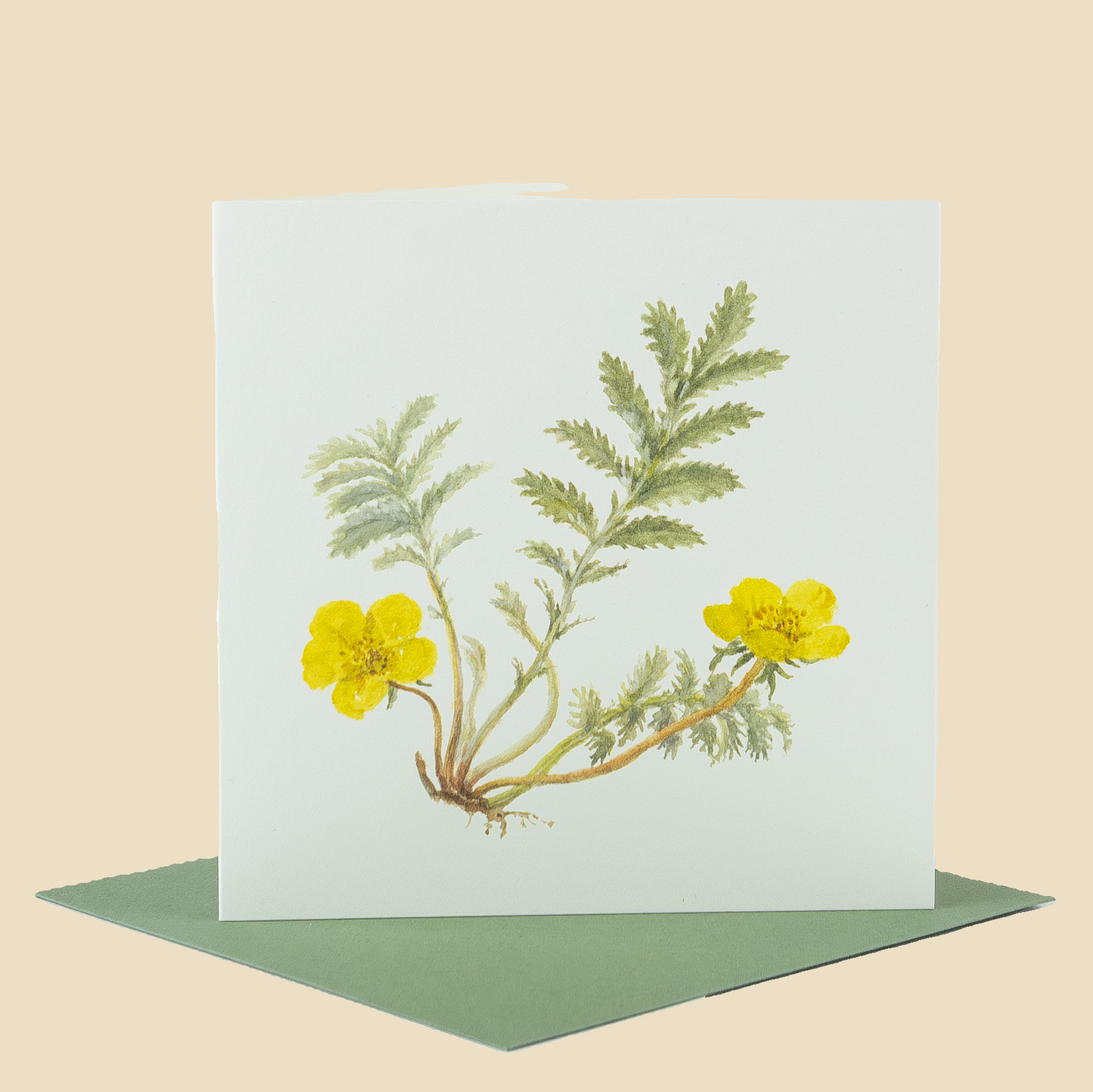 Wildflower Greeting Cards and Notelets