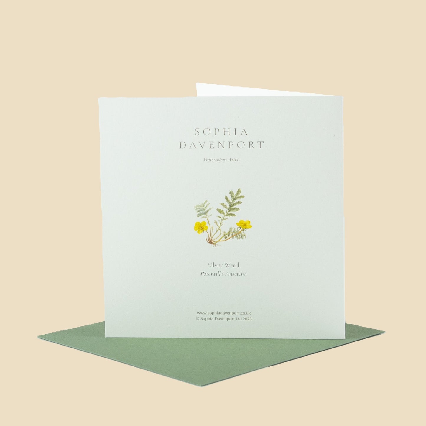 Wildflower Greeting Cards and Notelets