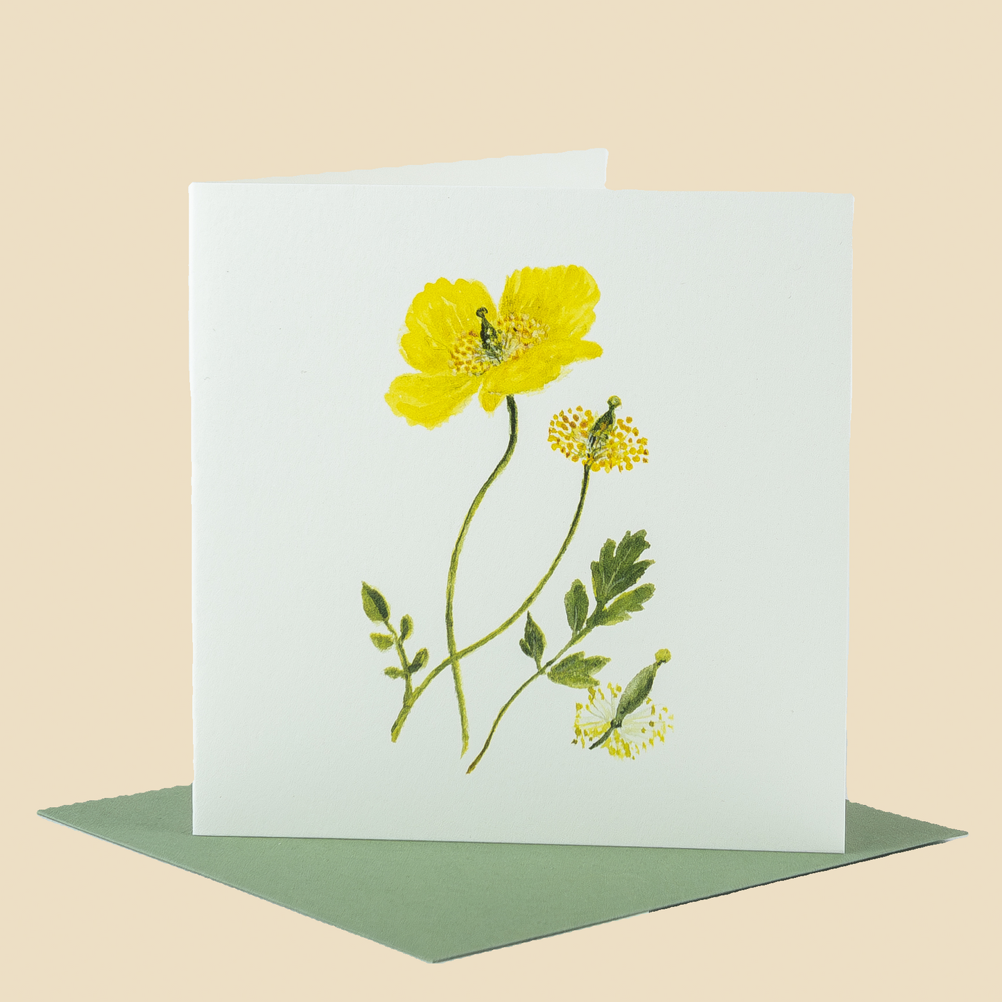 Wildflower Greeting Cards and Notelets