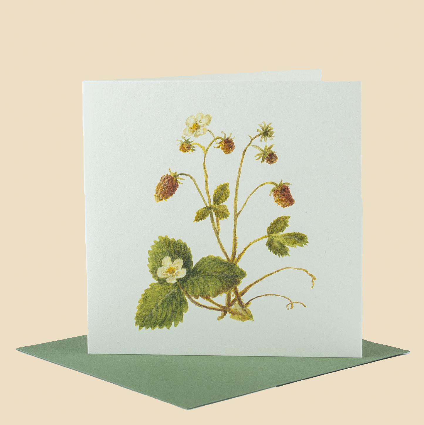 Wildflower Greeting Cards and Notelets