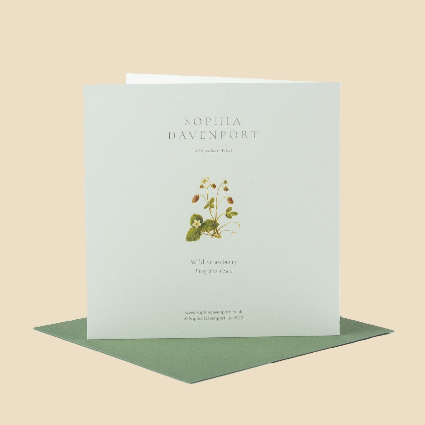 Wildflower Greeting Cards and Notelets