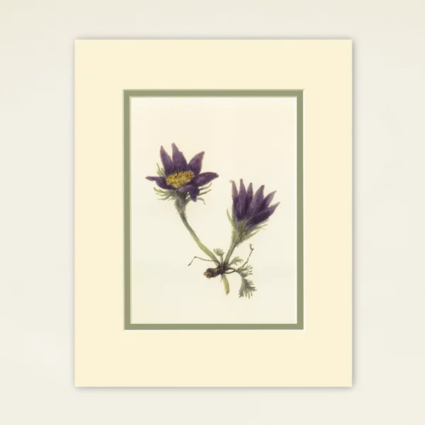 A5 Prints