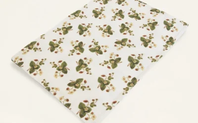 Pair of Place Mats