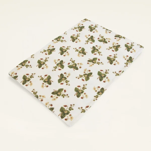 Pair of Place Mats